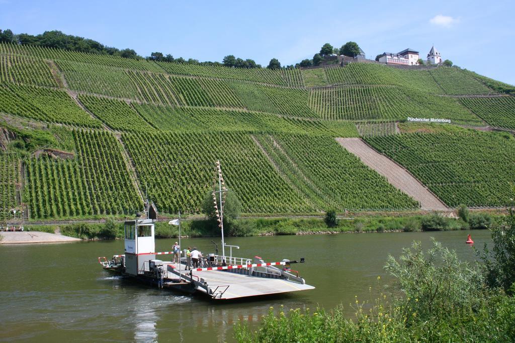 Wald Villa Uessbach Alf Phòng bức ảnh